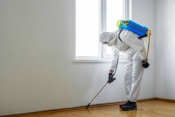 Emergency Pest Control in Pontoon Beach, IL